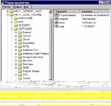   Delphi  C++Builder
