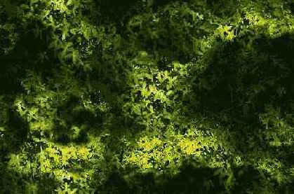 Volume
Light ( )