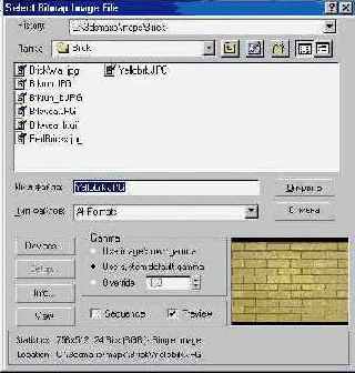 
Bitmap Parameters (  )