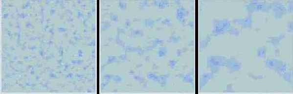   Speckle...
