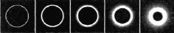  Ring  ...